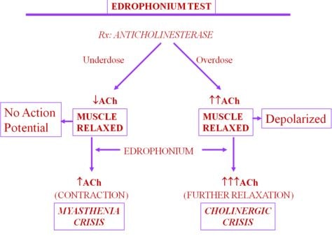 edrophonium test myasthenia gravis